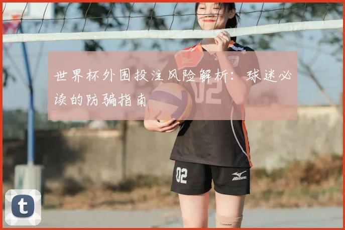 世界杯外围投注风险解析：球迷必读的防骗指南