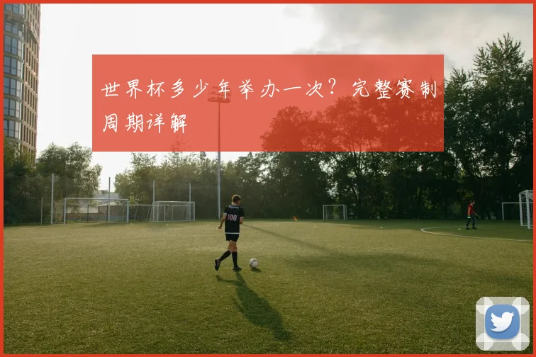 世界杯多少年举办一次？完整赛制周期详解