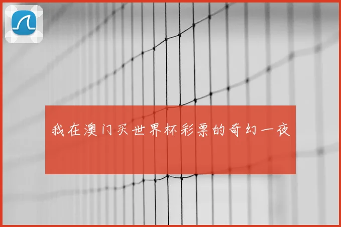 我在澳门买世界杯彩票的奇幻一夜