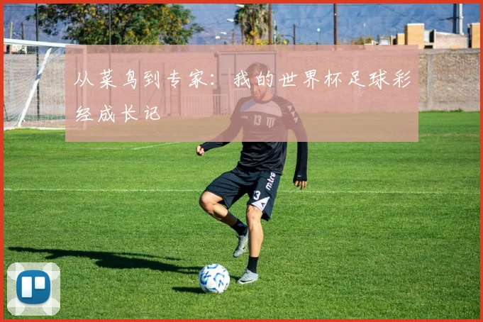 从菜鸟到专家：我的世界杯足球彩经成长记