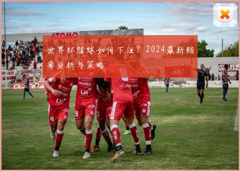 世界杯赌球如何下注？2024最新赔率分析与策略