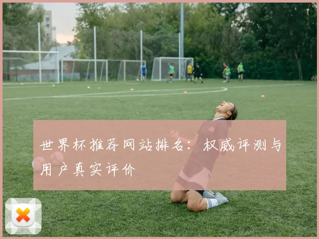 世界杯推荐网站排名：权威评测与用户真实评价
