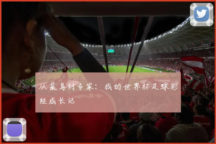 从菜鸟到专家：我的世界杯足球彩经成长记