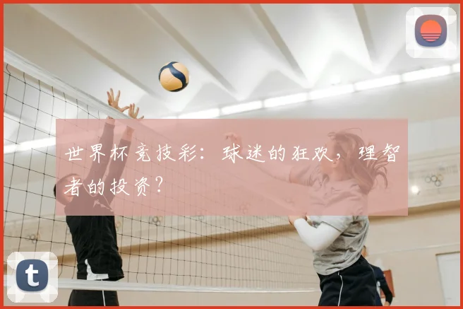 世界杯竞技彩:球迷的狂欢,理智者的投资?
